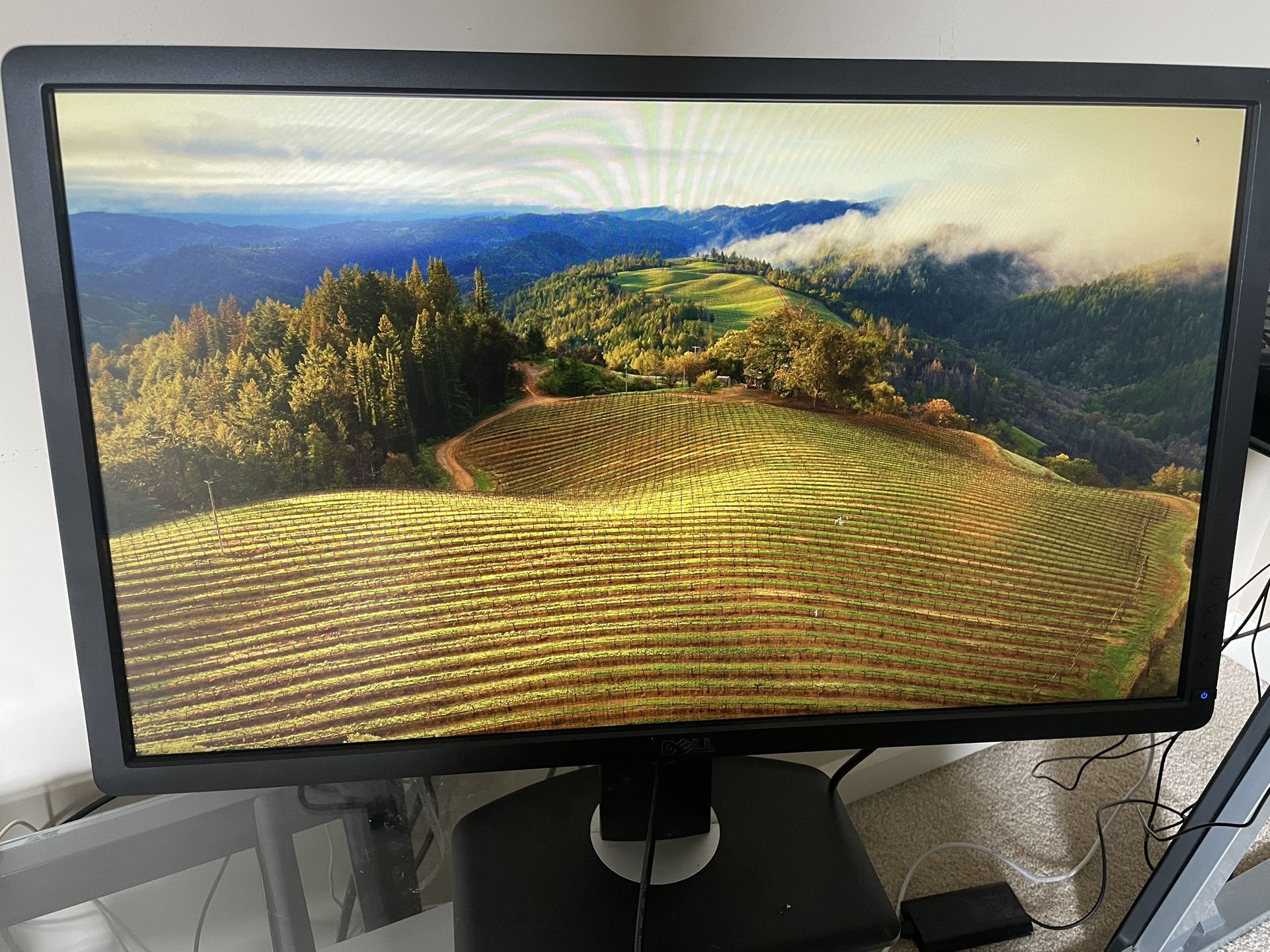 24 Inch Dell Monitor 
