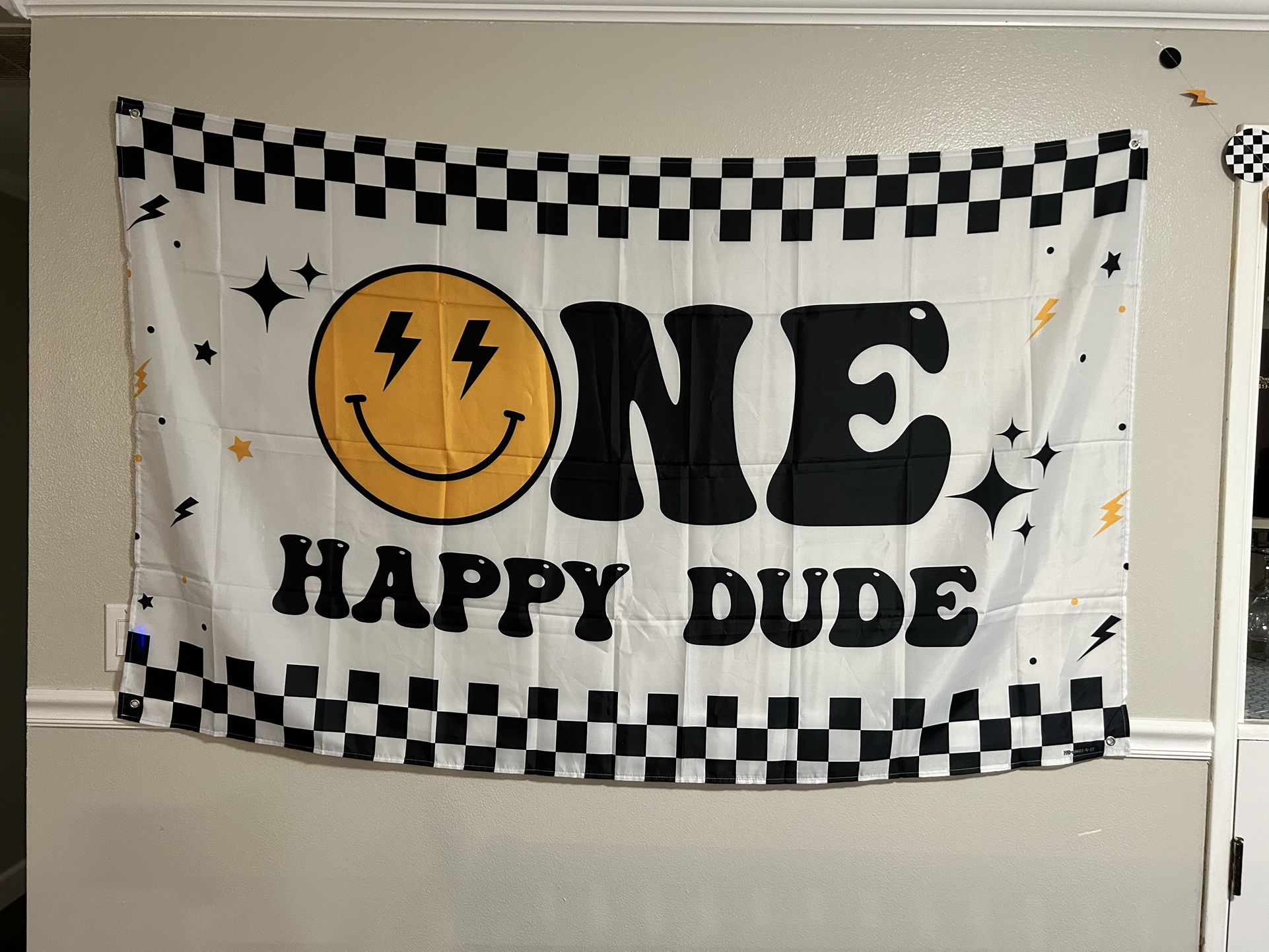 1st birthday party decor