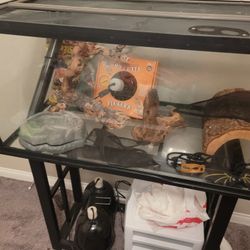 Bearded Dragon Cage