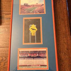 Florida Gators Framed Photo Collage The Swamp Stadium Blue Orange Football