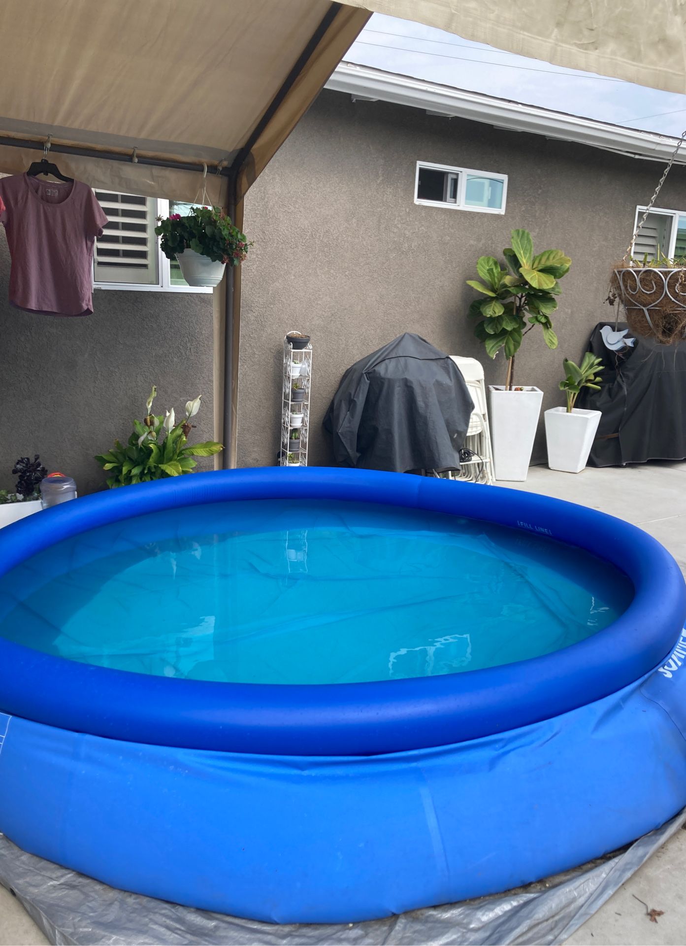 Poly group summer waves pool