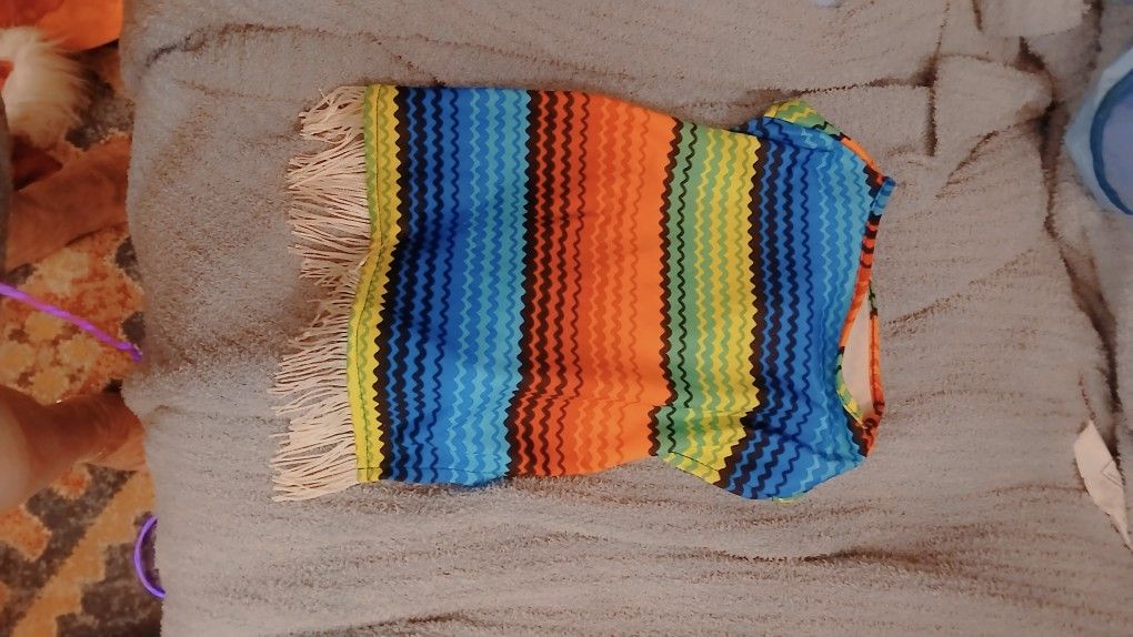 Mexican Dog Costume