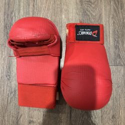 Martial arts gear for training