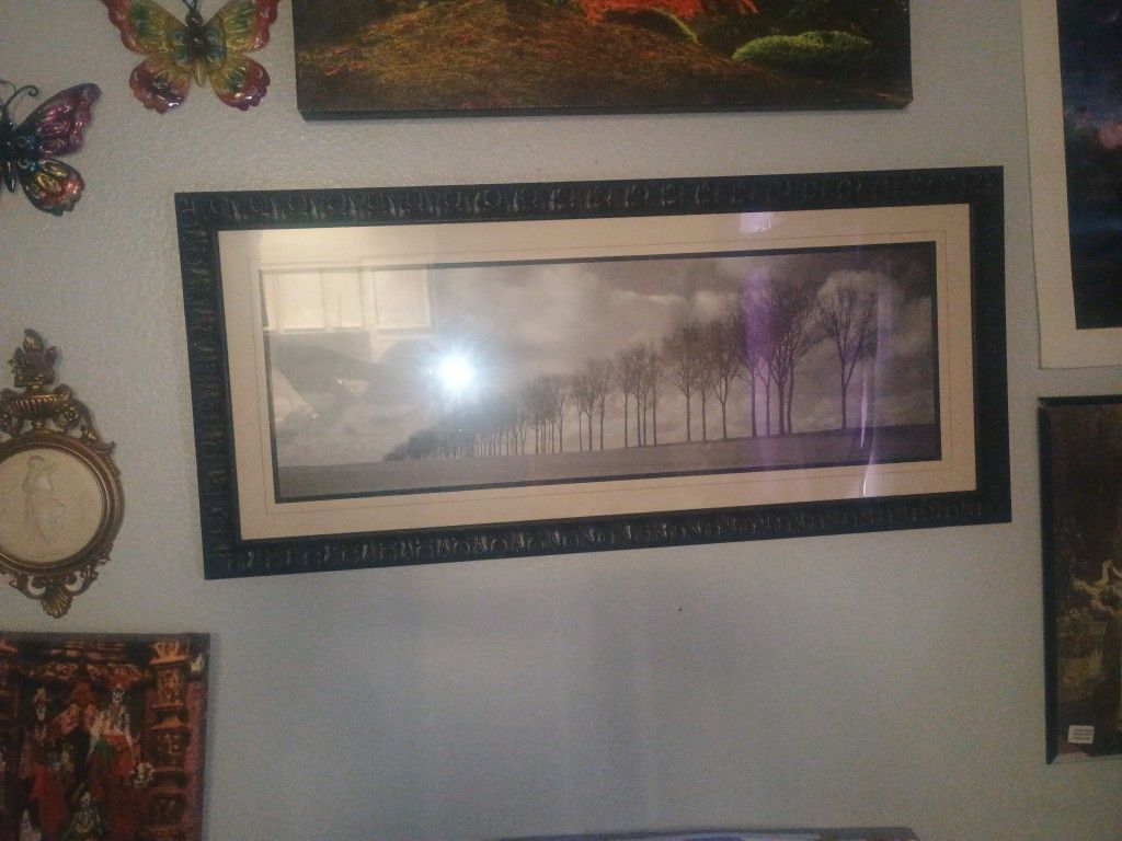 Pretty Pic