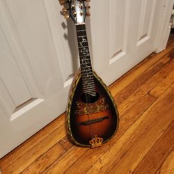 Bowlback Mandolin with Tuner and Case