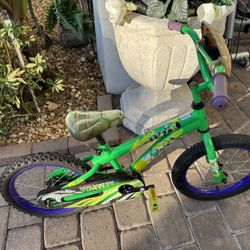Dynacraft 16” Teenage Mutant Ninja Turtles Bike Bicycle 