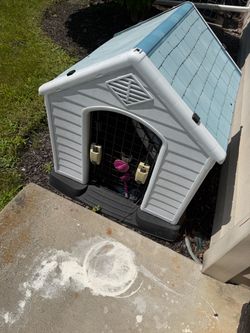 Dog house