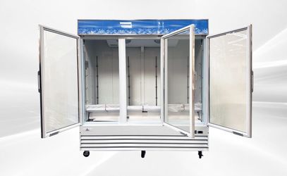 NSF 3 Glass Door Freezer Merchandiser Frozen food SD1.9L3