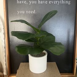 Faux Fiddle Leaf Plant $10