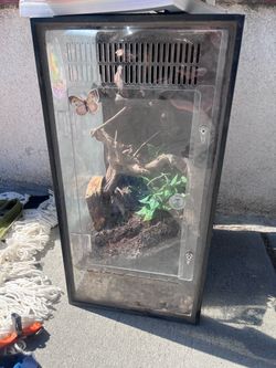 Terrarium
