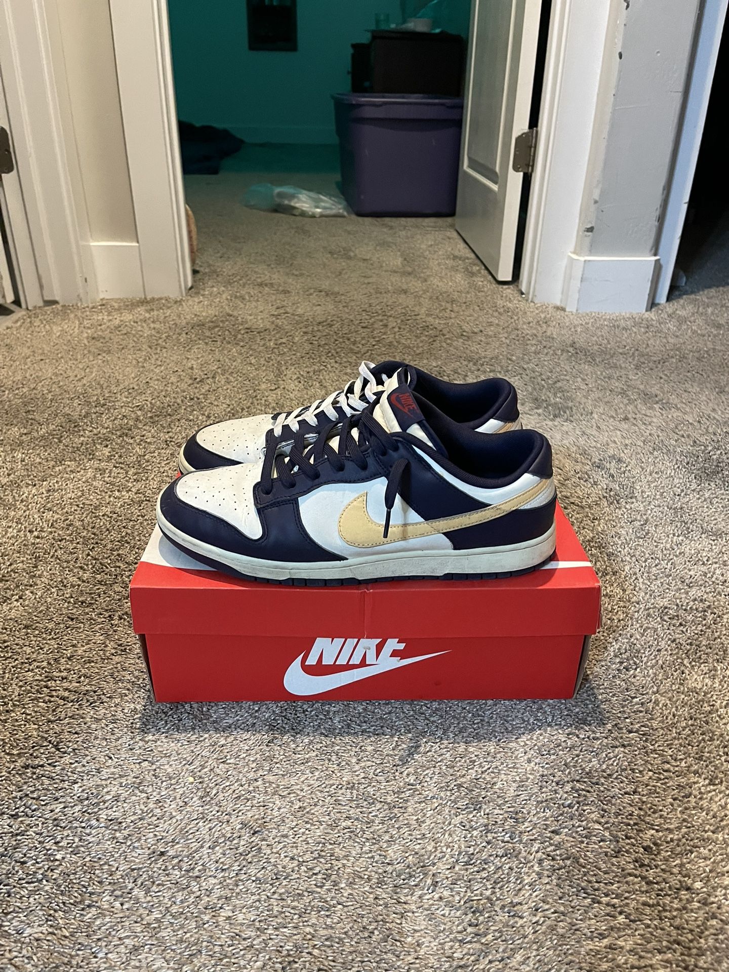 Nike retro low dunks 