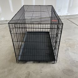 Top Paw® Double Door Folding Wire Dog Crate with Divider Panel