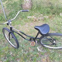 Jamis Earth Cruiser Bicycle 
