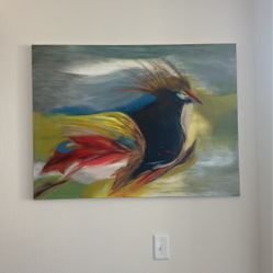 Colorful Acrylic Canvas