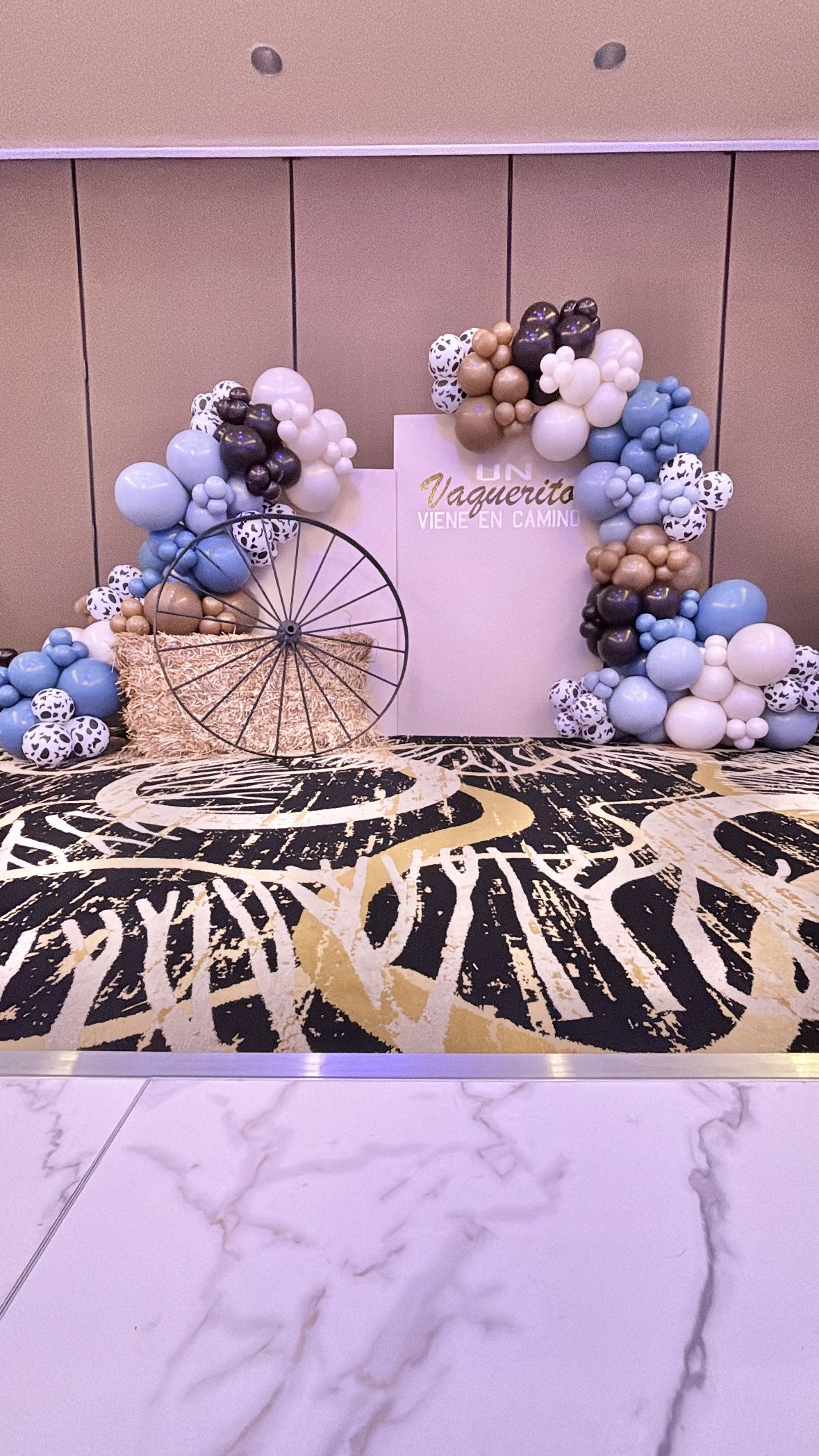 Balloon Garland And Backdrop With Props