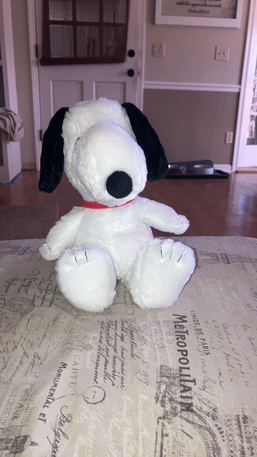 Snoopy Stuffed Animal