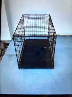 pets crate 30inches long