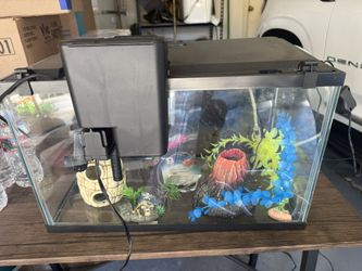 Fish Tank