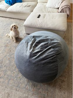 Big bean bag