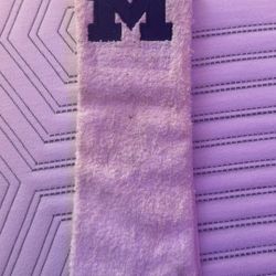 Michigan Towel Football
