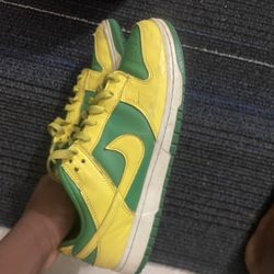 Used Brazil Dunks