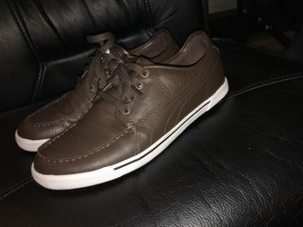 Pumas Brown