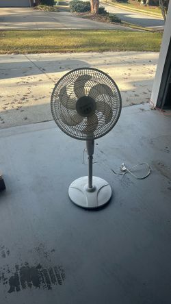 Oscillating Fan