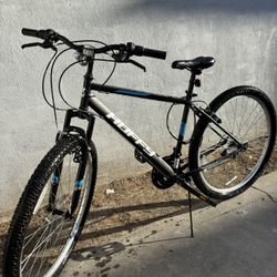 New Cycle