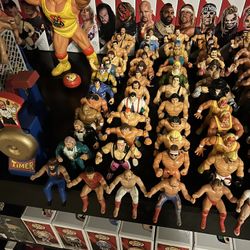 Tons Of Hasbros Wwe Wwf Wrestling Figures for Sale in Colorado