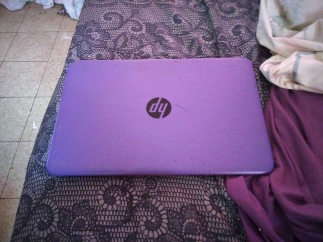 Hp Purple Laptop