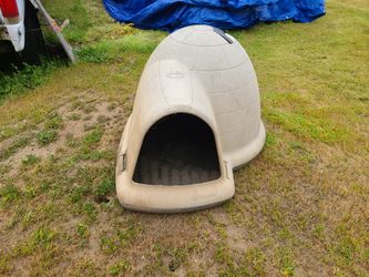 igloo dog house