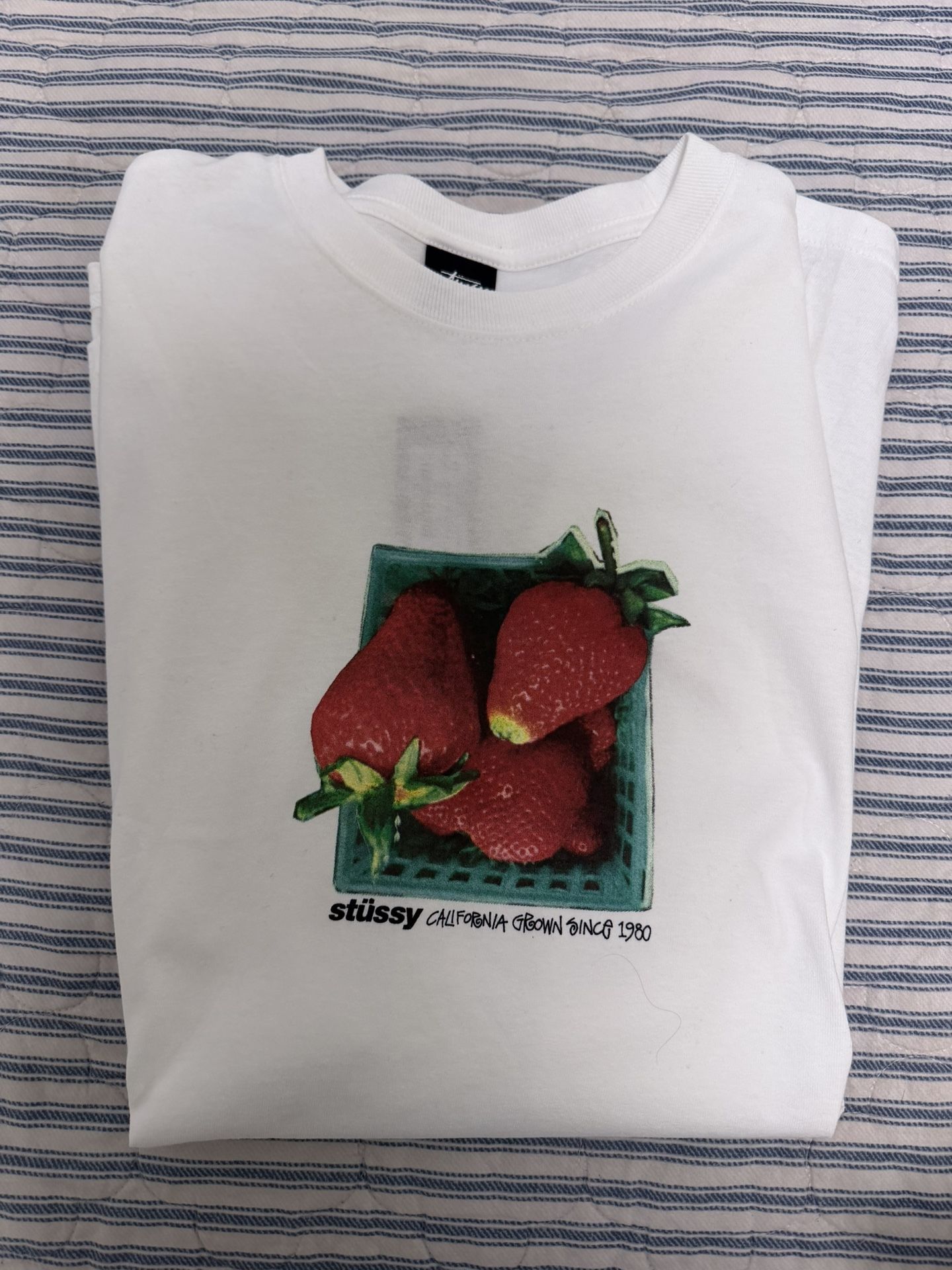STUSSY STRAWBERRY TEE
