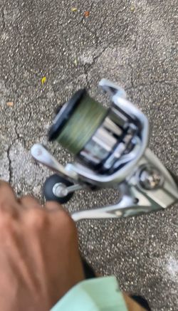 Shimano Stradic Penn setups