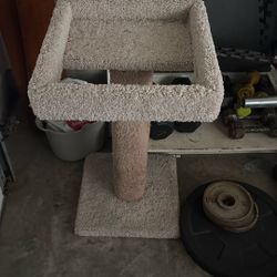 Cat Tower