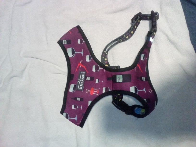 Dog Harness & Matching Leash