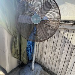 Big Fan 