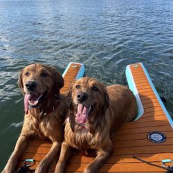 Inflatable Dog Water Ramp For Boats, Docks, Pools. Repair Kit Included, Brand New In Box