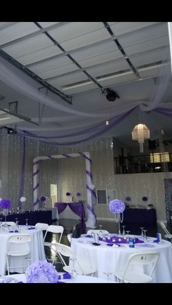Purple Tulle
