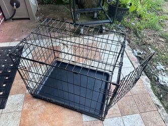 Black Wire Dog Crate with Tray