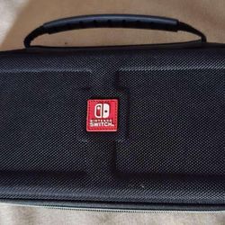 Nintendo Case 