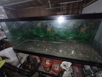 FREE Fish tank with metal stand