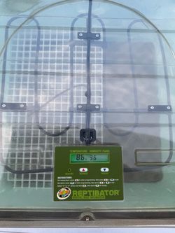 Reptibator Egg Incubator