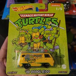 Hot Wheels Ninja Turtles 2022 5 set Complete