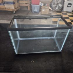 Used Tanks/reptile Supplies 