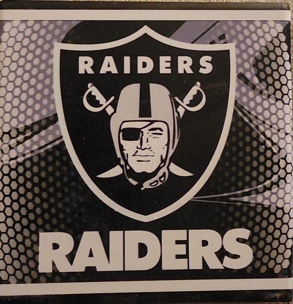 Raider Coasters