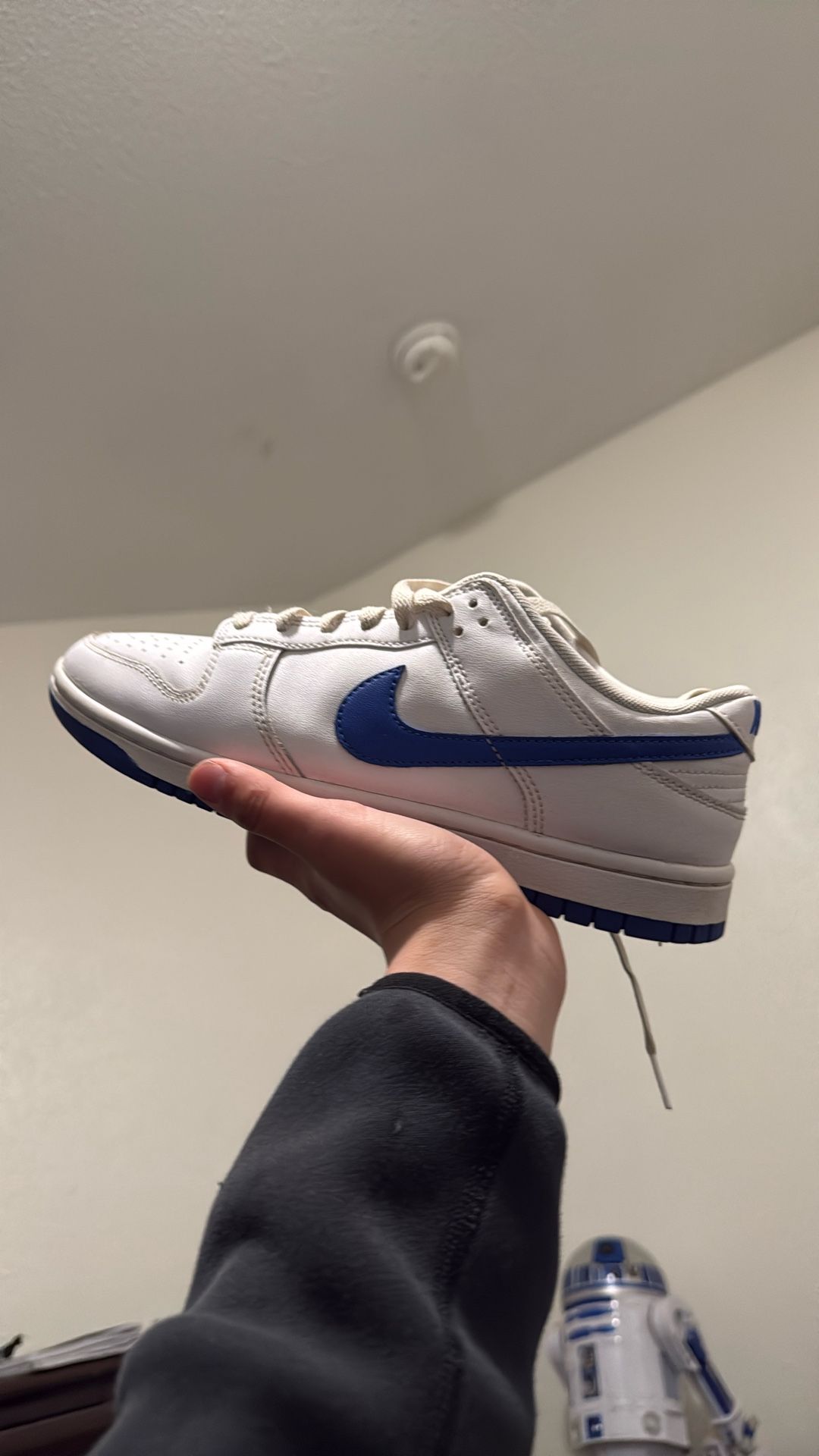 Dunks Size 8