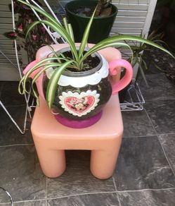 Hermosa planta para purificar el aire