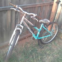 Bicycle 