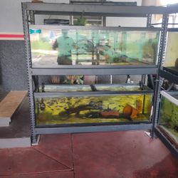 Fish Tank  125 G