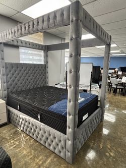 Furniture queen
